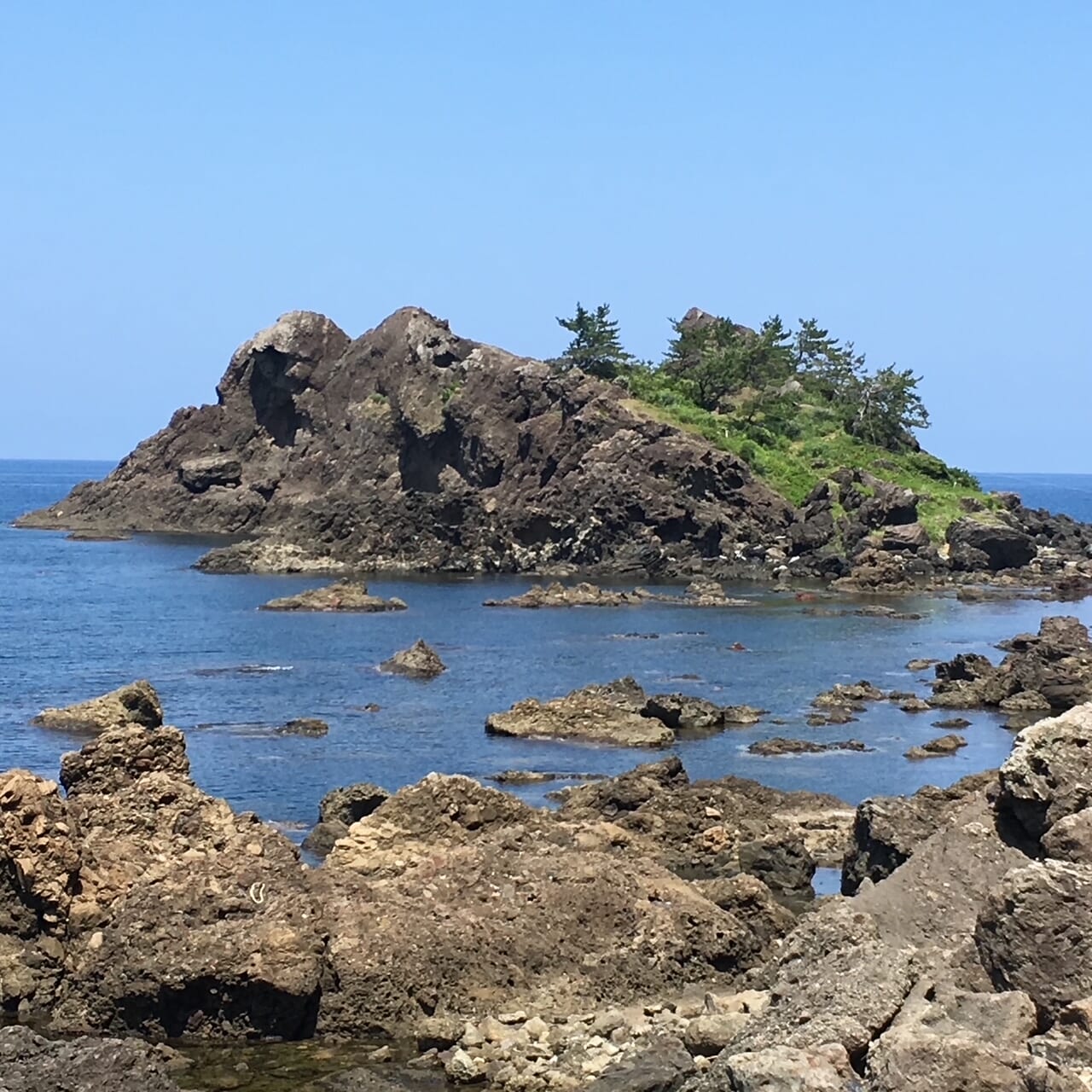 こちらも木ノ浦海域公園。（写真提供／ひびのこづえ）