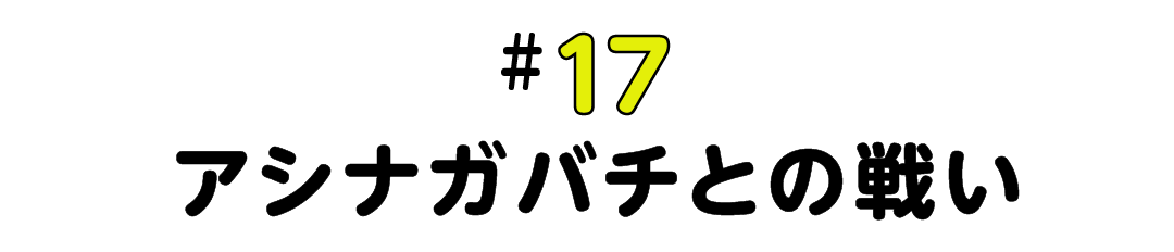 #17 アシナガバチとの戦い