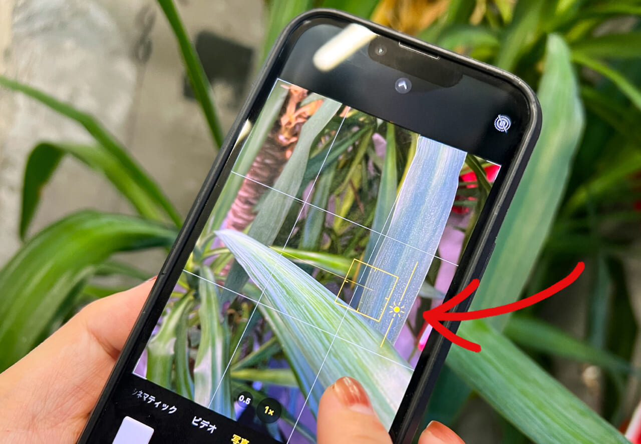 △スマホをタップして、上下に指をすべらせると露出が調整できます。