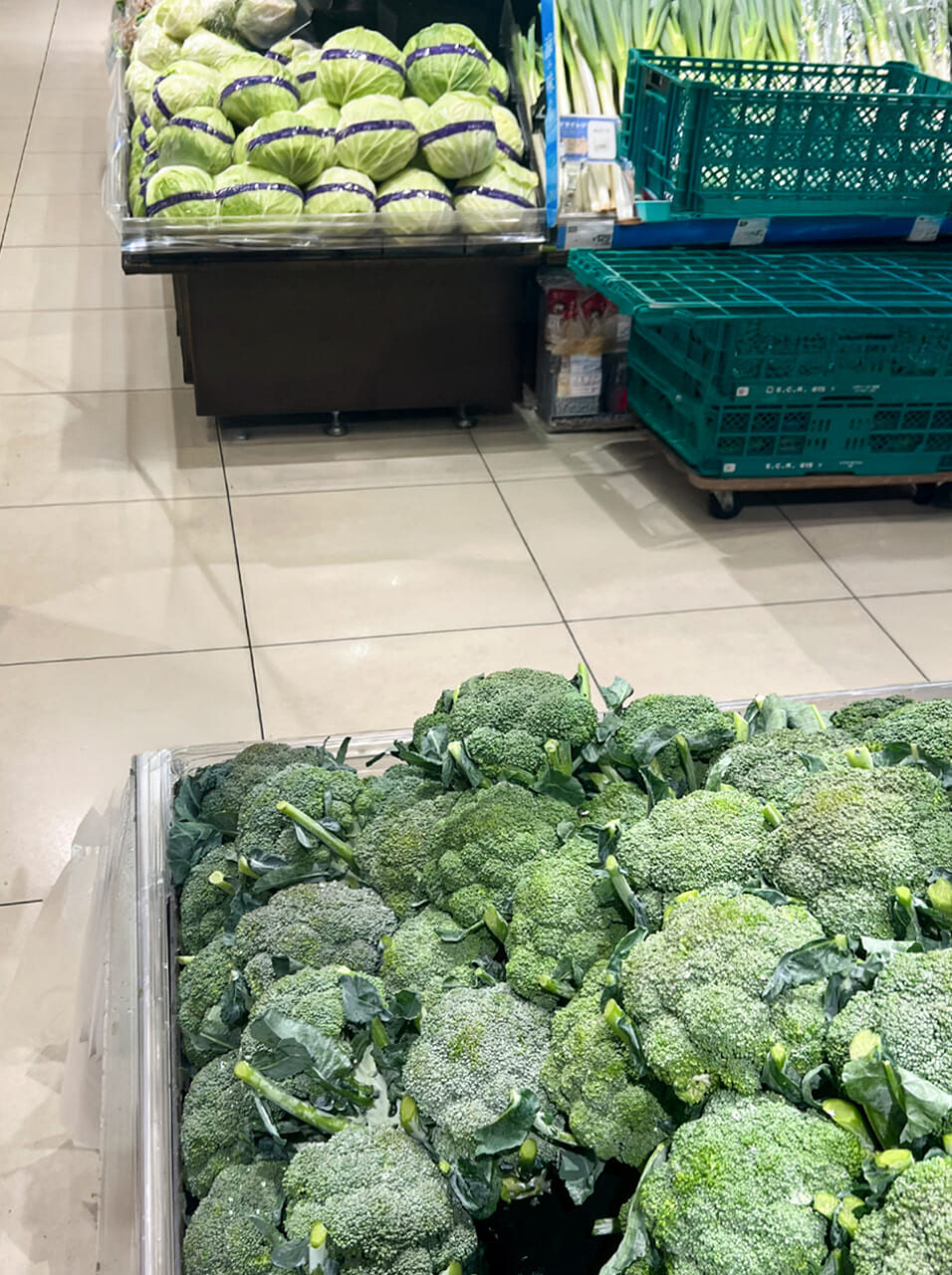 △ブロッコリーの棚とキャベツの棚（奥）。