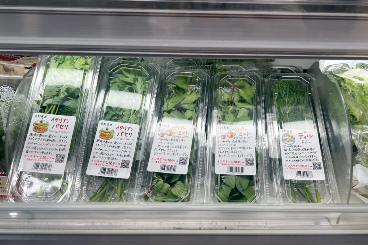 △左から、イタリアンパセリが２つ、ペパーミントが２つ、ディルが１つ