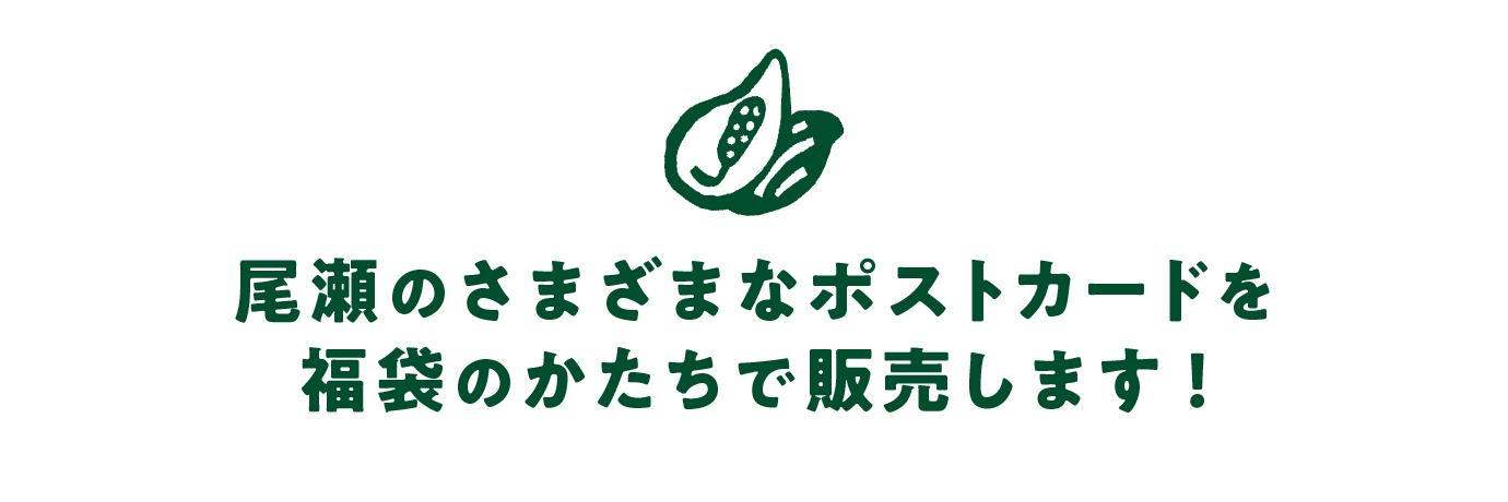 尾瀬のさまざまなポストカードを 福袋のかたちで販売します!