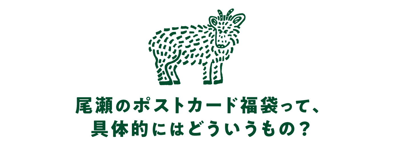 尾瀬のポストカード福袋って、 具体的にはどういうもの?