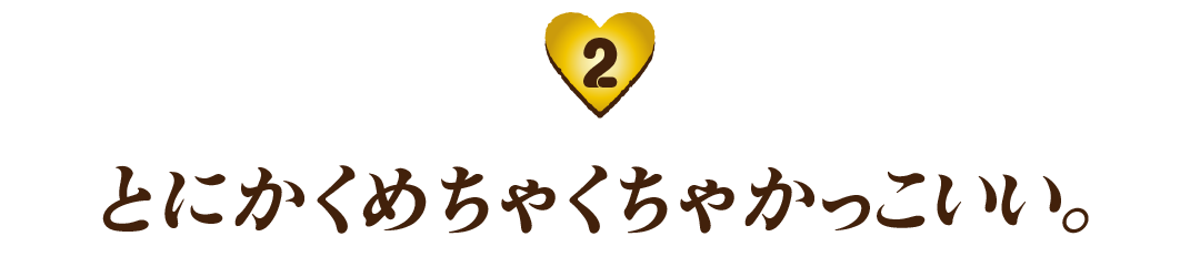 （２）とにかくめちゃくちゃかっこいい。