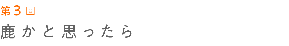 第３回 鹿かと思ったら 