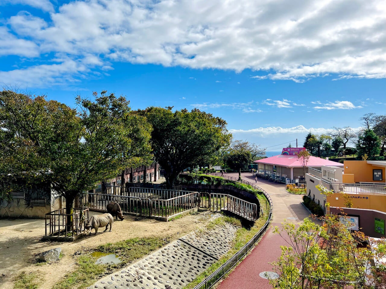 撮影：五代目江戸家猫八