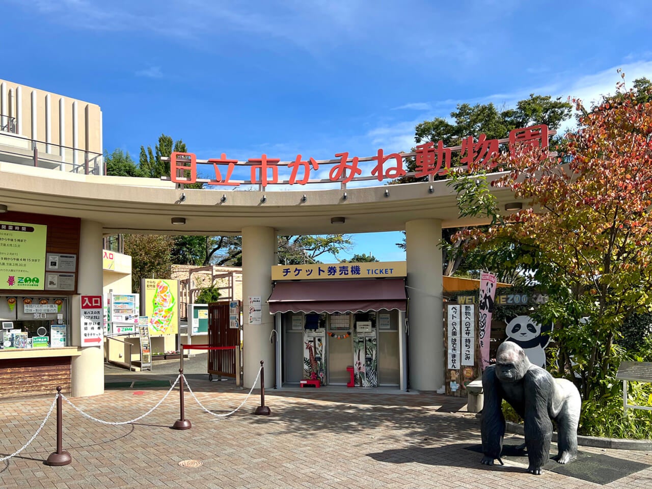 撮影：五代目江戸家猫八