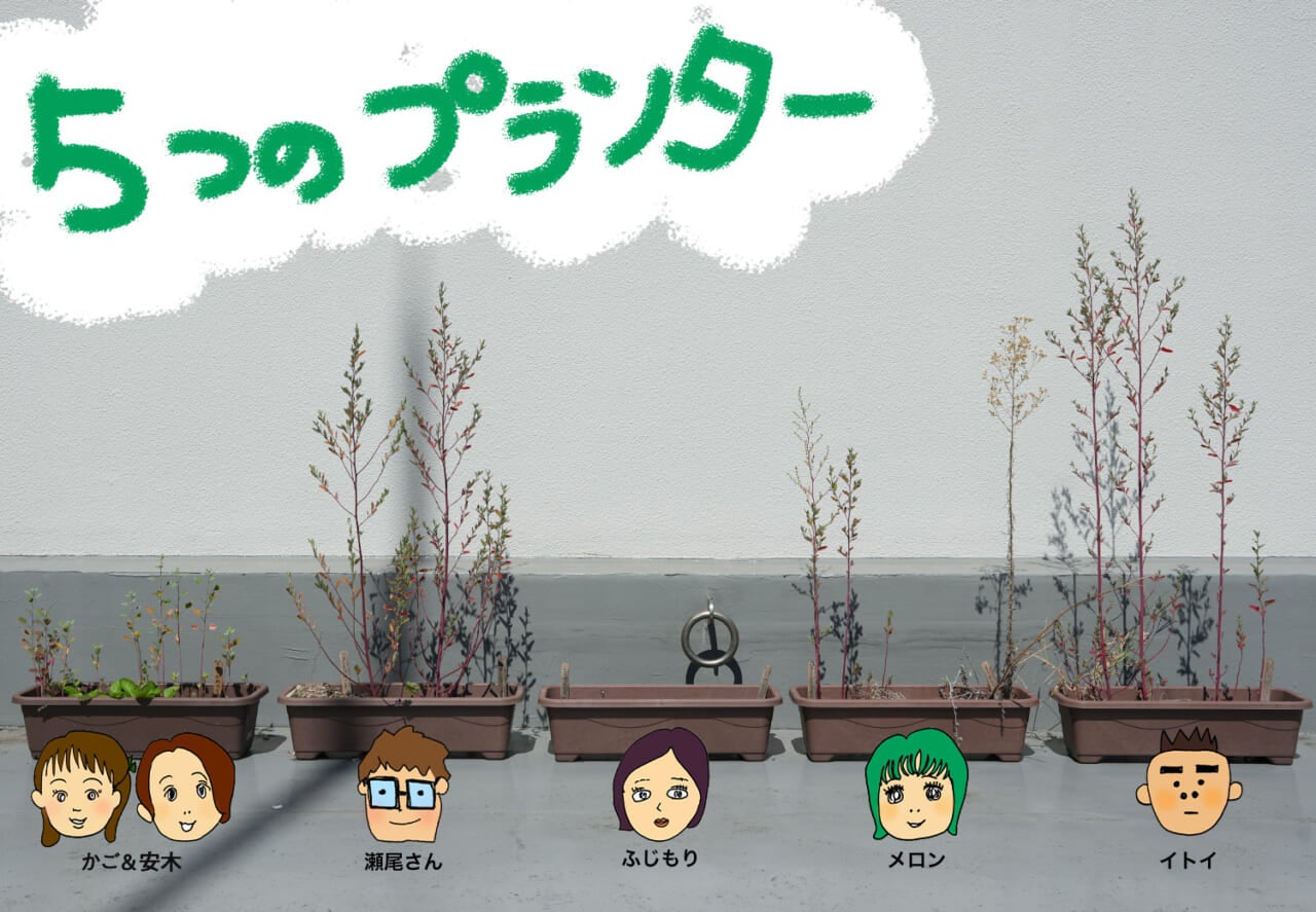 ５つのプランター