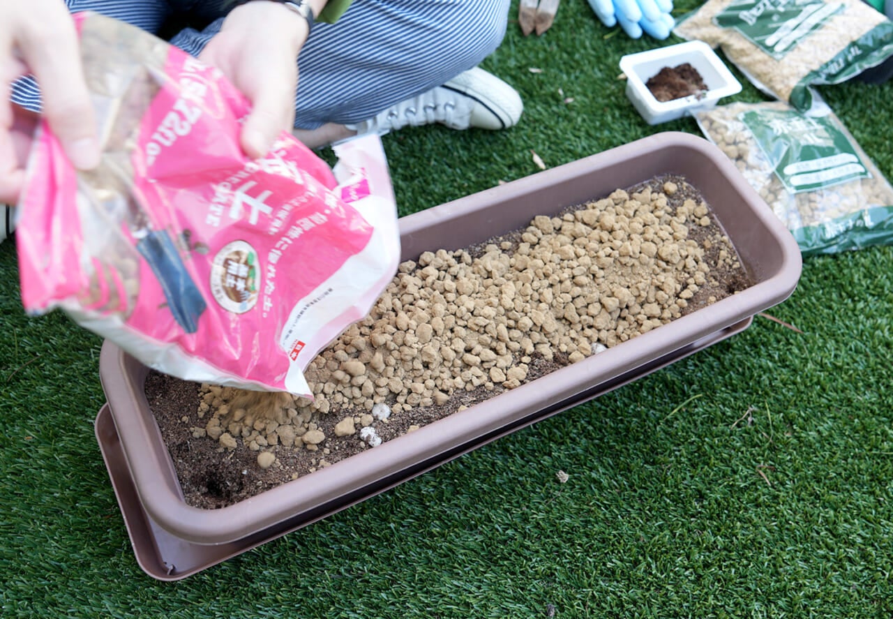 ▲赤玉土を１袋（1.5リットル）追加。