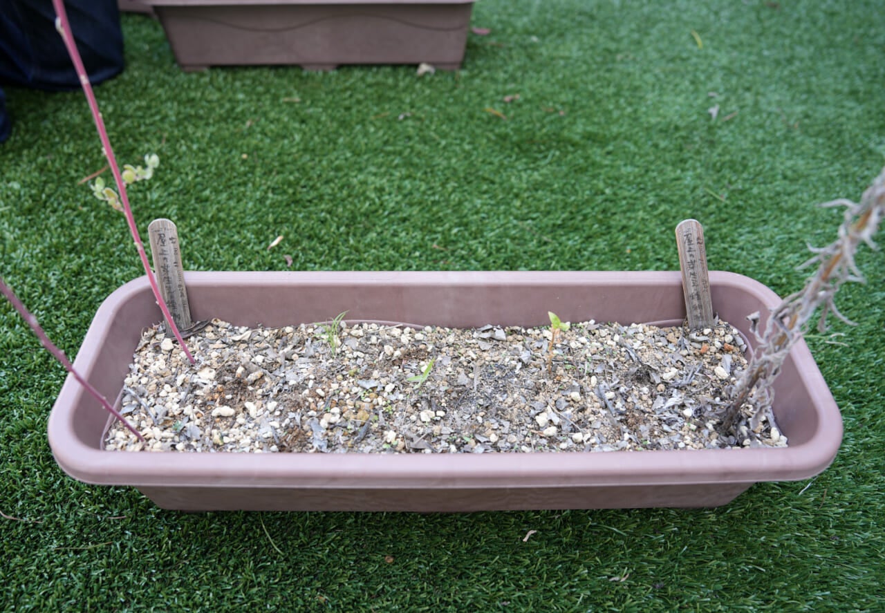 ▲サッパリしました！