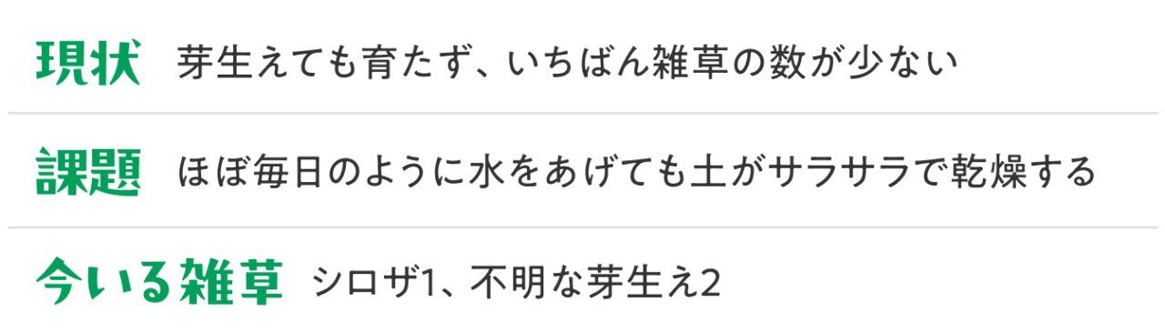 課題：ほぼ毎日のように水をあげても土がサラサラで乾燥する