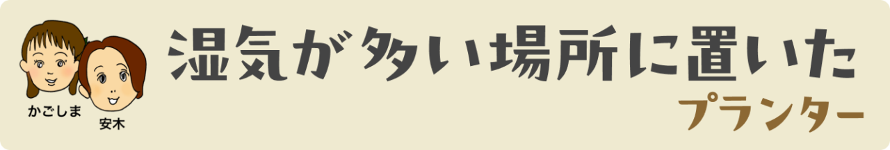湿気が多い場所に置いたプランター