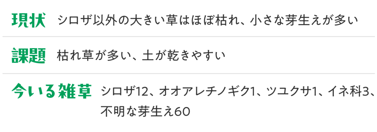 課題：枯れ草が多い、 土が乾きやすい