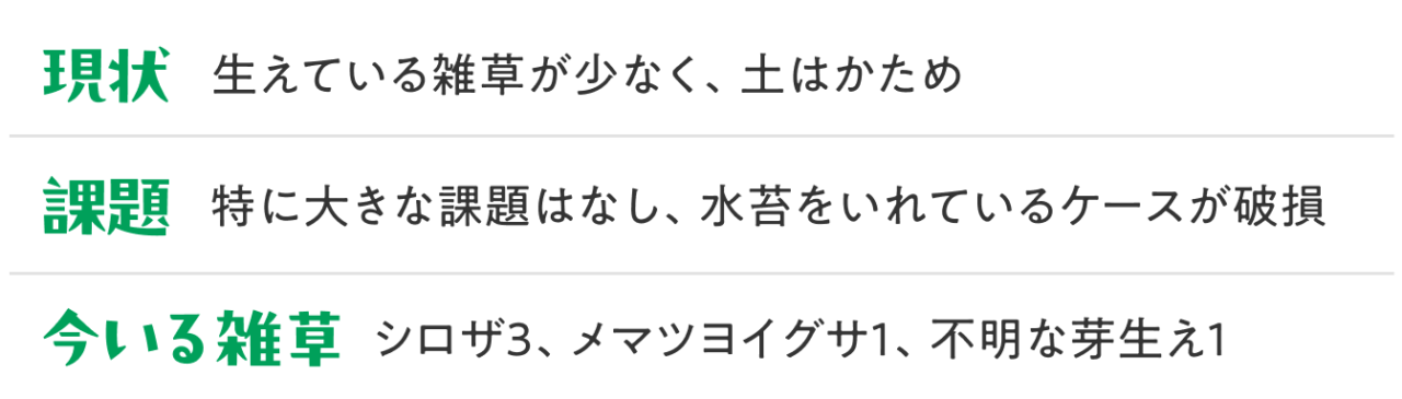 課題：特に大きな課題はなし、水苔をいれているケースが破損