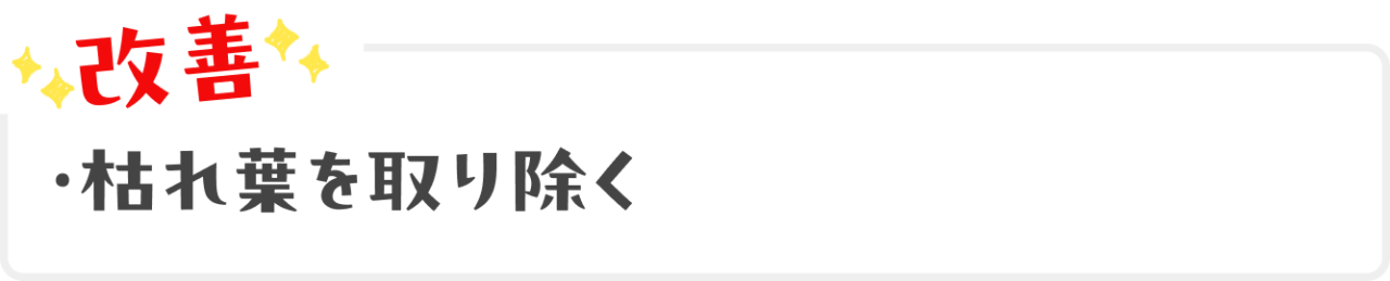 改善：枯れ葉を取り除く