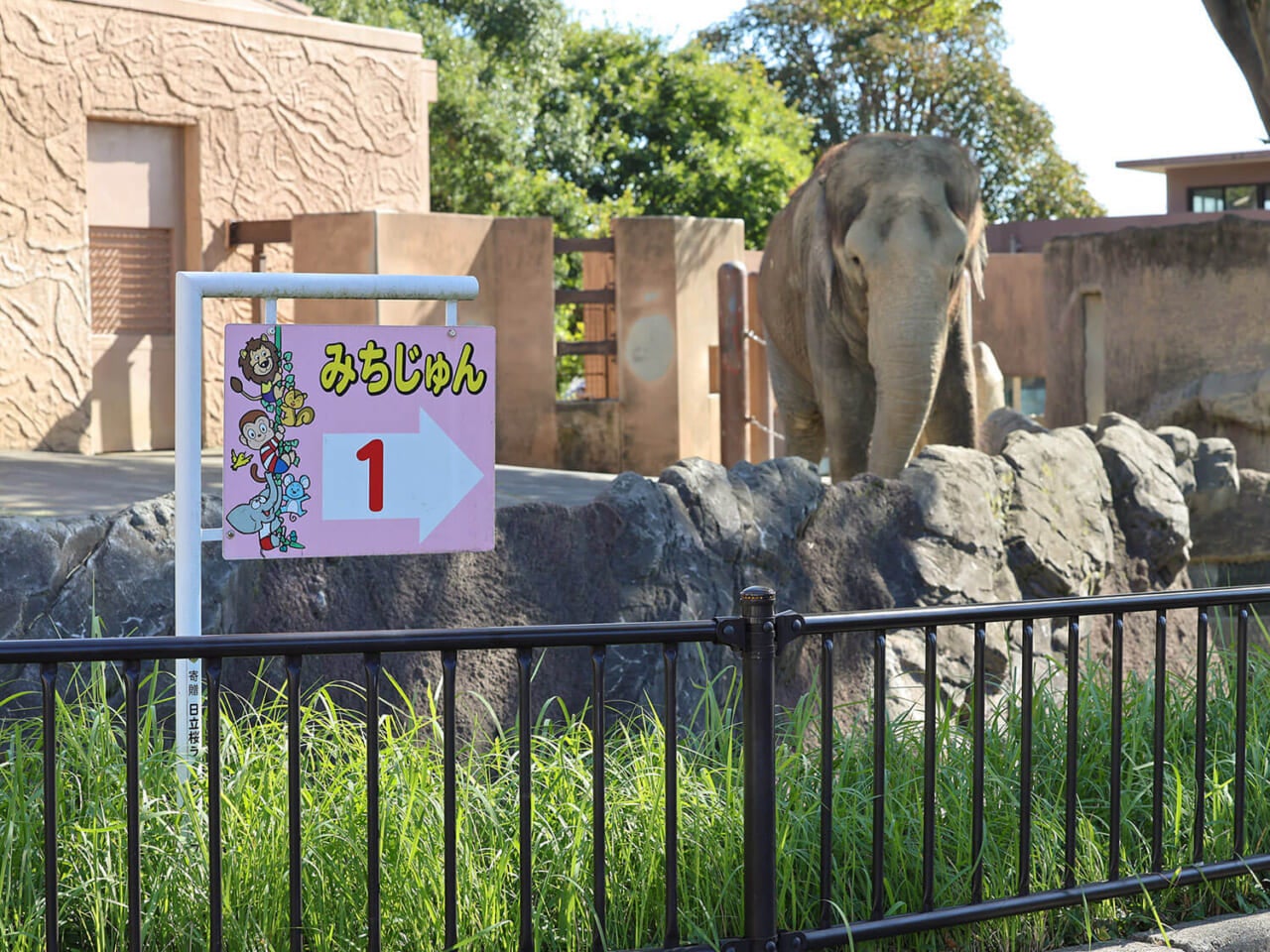 撮影：五代目江戸家猫八