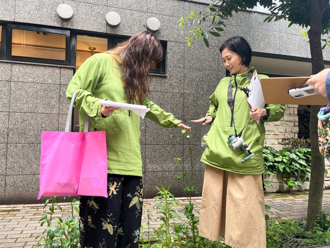 ▲雑草観察ツアーで見かけたノゲシ。