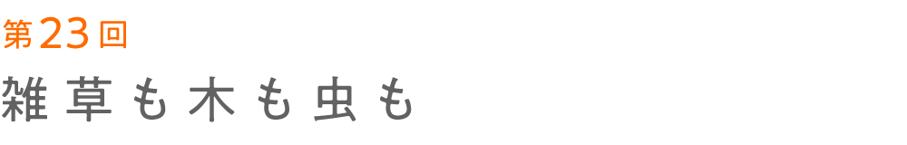 第23回 雑草も木も虫も   