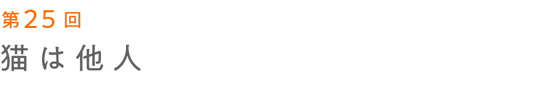 第25回 猫は他人