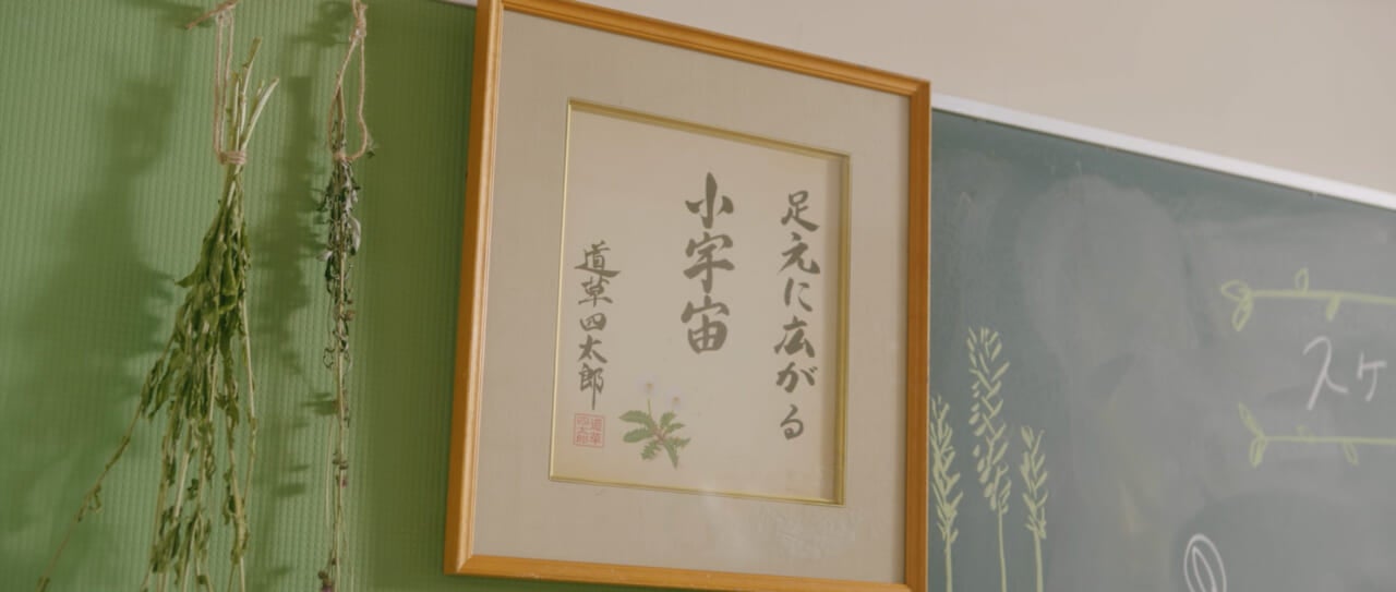 映画『ザッケン！』より：映画の中の雑草研究部に飾られている色紙。