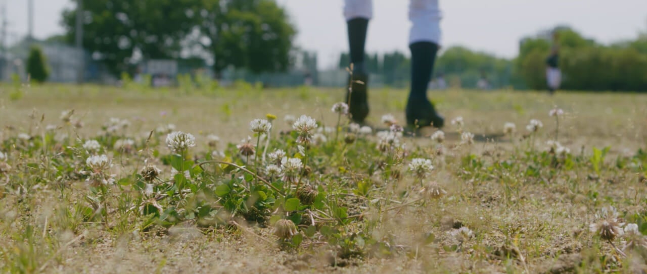 映画『ザッケン！』より：そのシーンはこちら。野球部が練習するグラウンドにクローバーが生えています。