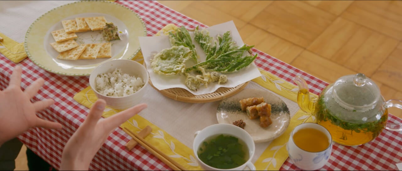 映画『ザッケン！』より：（左から）ハルジオン味噌とクラッカー、カラスノエンドウの豆ごはん、野草の天ぷら、クズの肉巻きとカラシナのマスタード添え、野草スープ、カラスノエンドウのお茶