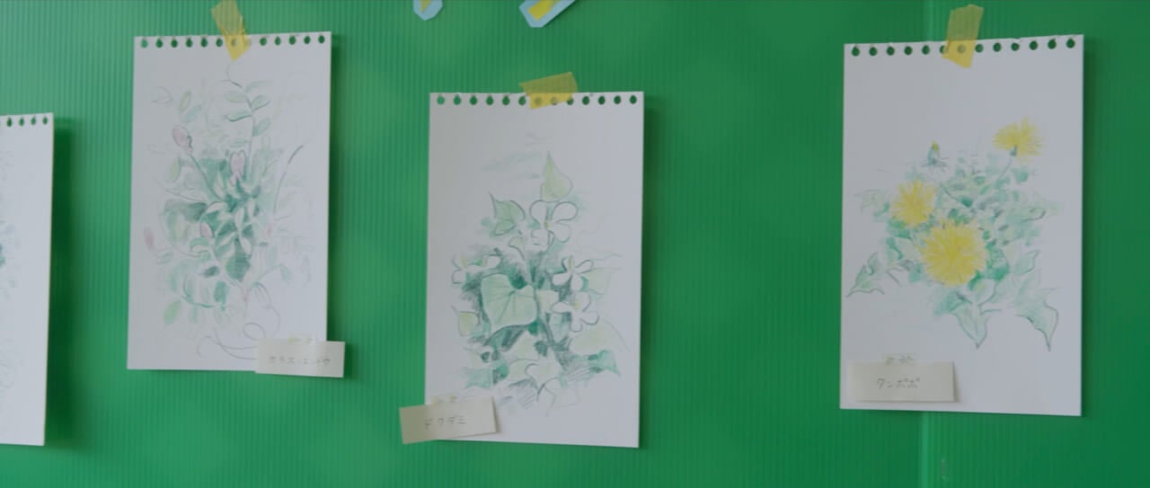 映画『ザッケン！』より：映画内でゆかりちゃんが描いた、雑草のイラスト。