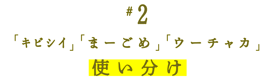 第２回 「ｷﾋﾞｼｲ」「まーごめ」「ウーチャカ」使い分け