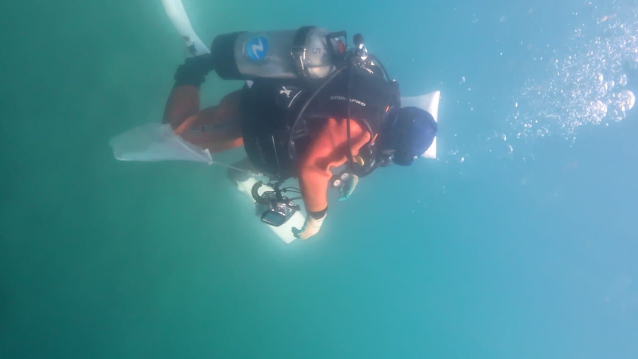 △潜水中のロバートさん