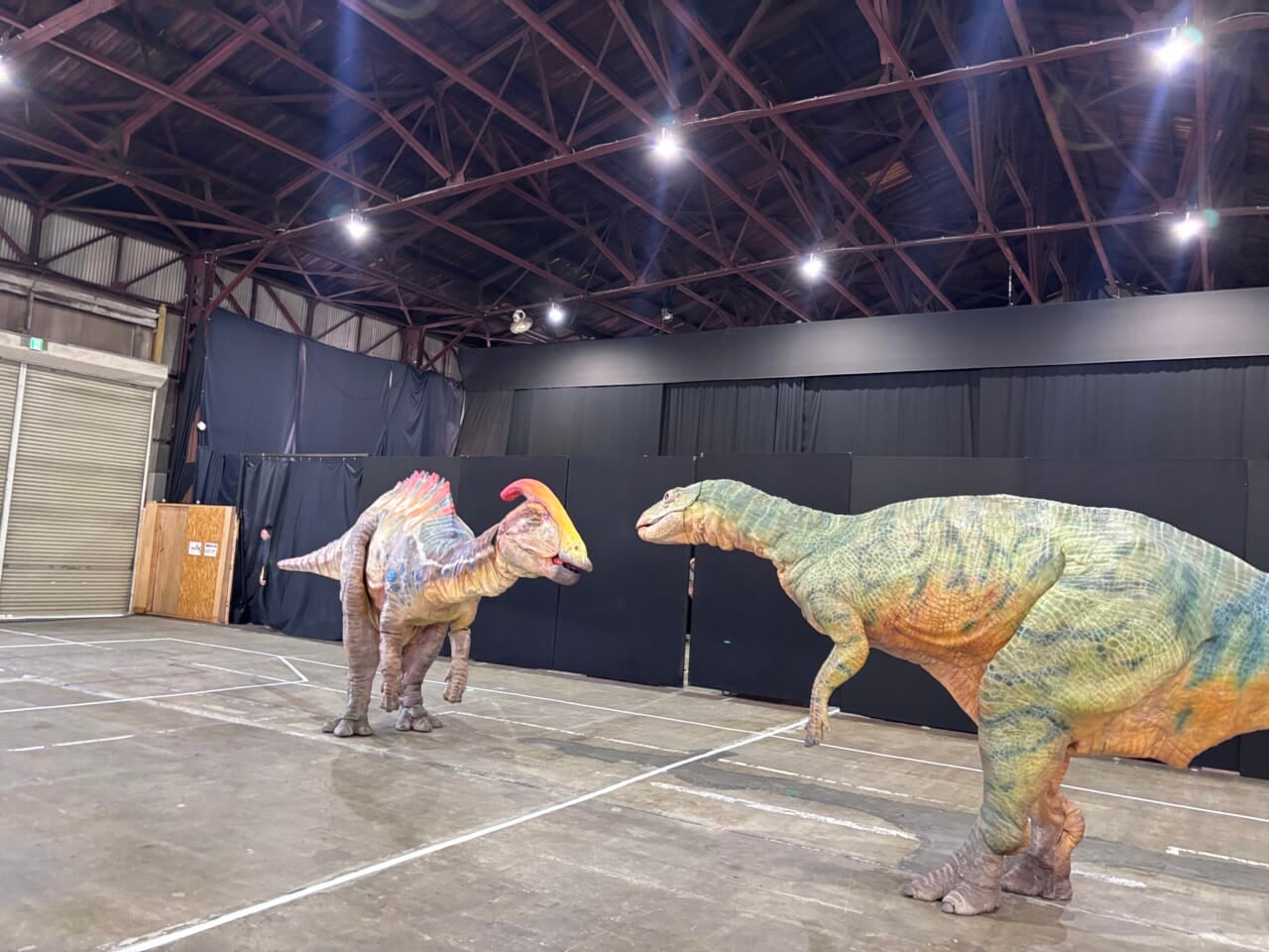 ▲この存在感が、本当にいいんですよ。