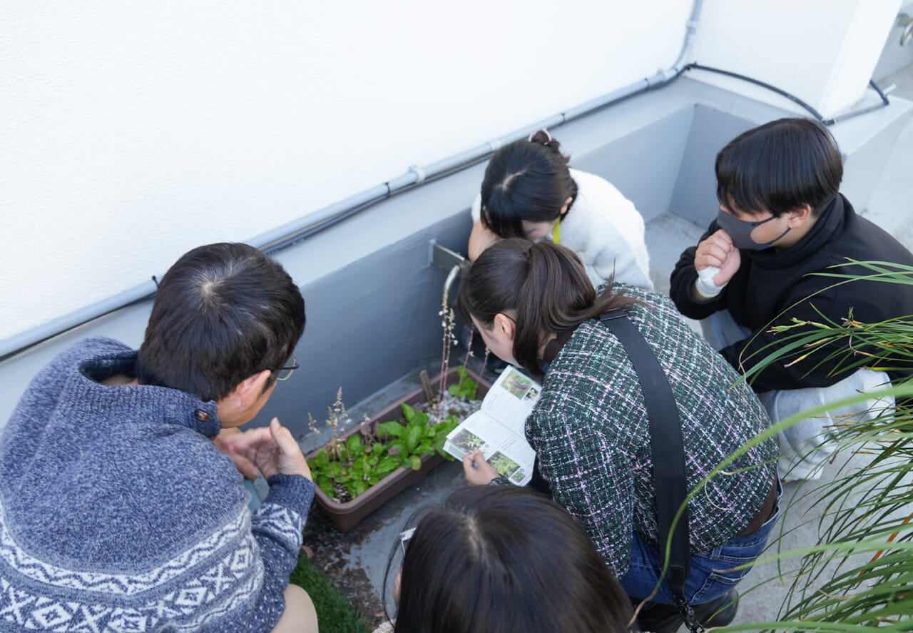 △大勢に囲まれた、ほぼ日の屋上にある雑草プランター