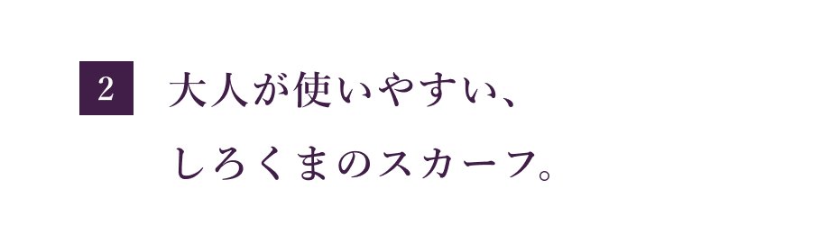 次ページイメージ