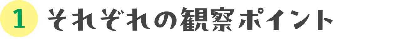 新宿の雑草を見てみませんか？　それぞれの観察のポイント