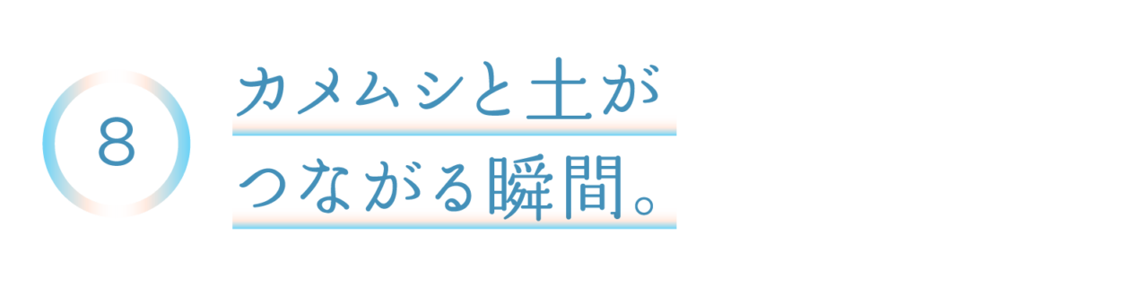 ８　カメムシと土がつながる瞬間。