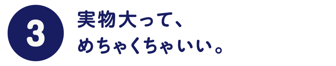 第３回　実物大って、 めちゃくちゃいい。