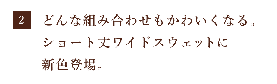 次ページイメージ