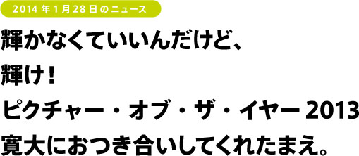 輝かなくていいんだけど、
輝け！　ピクチャー・オブ・ザ・イヤー2013
寛大におつき合いしてくれたまえ。