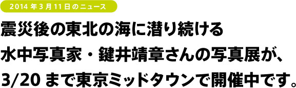 震災後の東北の海に潜り続ける
水中写真家・鍵井靖章さんの写真展が、
3/20まで東京ミッドタウンで開催中です。