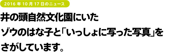 宇多田ヒカルさんが 約６年振りに出演する歌番組に 糸井重里が登場しますよー。