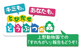 キミも、あなたも、みんなでとびだせどうぶつの森