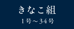 きなこ組　1号〜34号