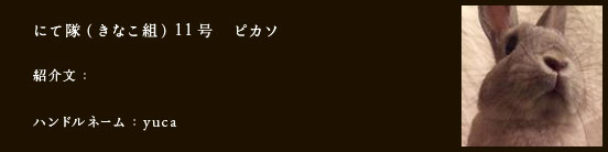 にて隊（きなこ組）11号　ピカソ
紹介文：
ハンドルネーム：​yuca