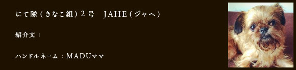 にて隊（きなこ組）2号　JAHE（ジャヘ）
紹介文：
ハンドルネーム：​MADUママ