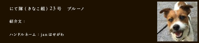 にて隊（きなこ組）23号　ブルーノ
紹介文：
ハンドルネーム：janはせがわ