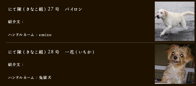 にて隊（きなこ組）28号　バイロン
紹介文：
ハンドルネーム：emizo
にて隊（きなこ組）27号　一花（いちか）
紹介文：
ハンドルネーム：兔猫犬