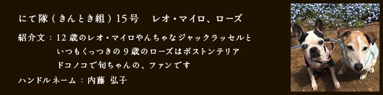 にて隊（きんとき組）15号　レオ・マイロ、ローズ
											   紹介文：12歳のレオ・マイロやんちゃなジャックラッセルと
											   いつもくっつきの9歳のローズはボストンテリア
											   ドコノコで旬ちゃんの、ファンです
											   ハンドルネーム：内藤 弘子