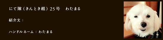 にて隊（きんとき組）25号　わたまる
紹介文：
ハンドルネーム：わたまる