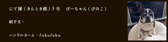 にて隊（きんとき組）3号　ぴーちゃん（ぴのこ）
紹介文：
ハンドルネーム：