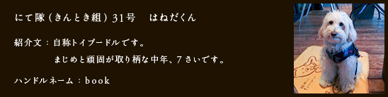 にて隊（きんとき組）31号　はねだくん
紹介文：自称トイプードルです。
まじめと頑固が取り柄な中年、7さいです。
ハンドルネーム：book