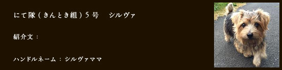 にて隊（きんとき組）5号　シルヴァ
紹介文：
ハンドルネーム：シルヴァママ